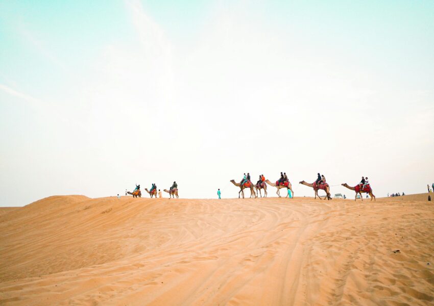 camel ride agadir